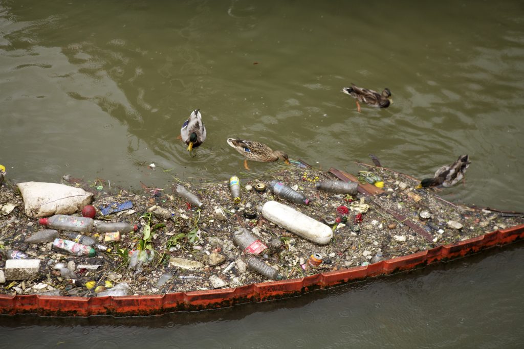 garbage-accumulated-in-the-seine-river-paris