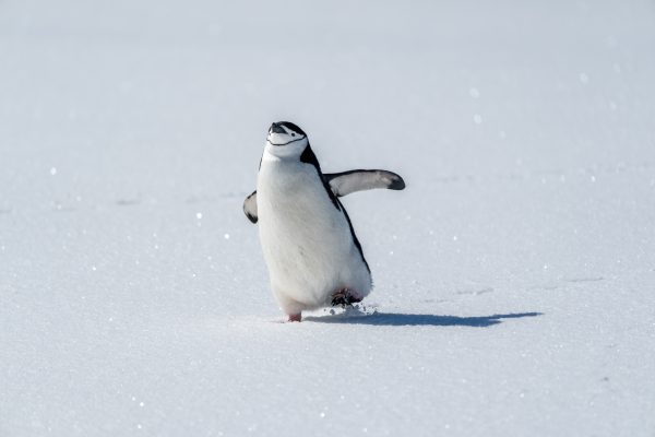 gettyimages-unobillónnuevecientreinta-tresmillóncincociensetenta-cincomilcincociensetenta-cuatro-uno