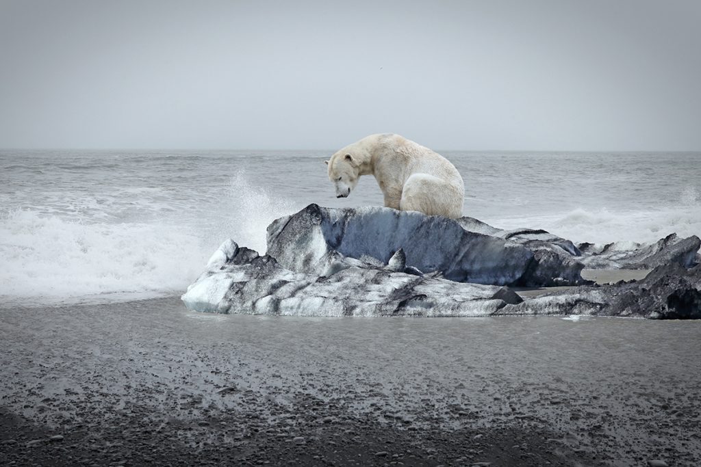 cambio-climatico-en-la-antartida-gal-unomilveinte-cuatro-x-seiscienochenta-tres