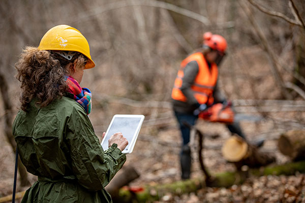 forester-foreman-using-digital-tablet-when-working-and-supervising-in-forest gettyimages-portada